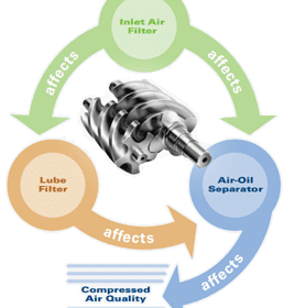 The filtration ecosystem depends on all three components for optimal performance.